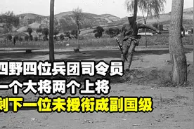 四野四位兵团司令员，一个大将两个上将，剩下一位未授衔成副国级视频封面