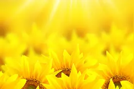 南无地藏王菩萨    圣号视频封面