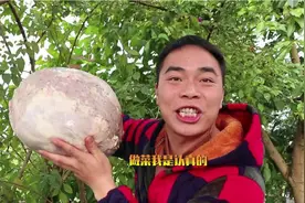 歪厨子做特色美食牛瘪汤，老丈人吃的不过瘾还喝汤视频封面
