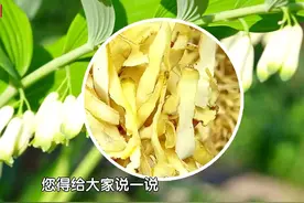 润肺肾第一招，用好颜如玉！搭配石斛泡水喝，养阴生津、润燥止渴视频封面