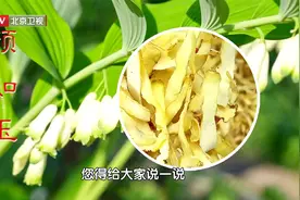 润肺肾第一招，用好颜如玉！搭配石斛泡水喝，养阴生津、润燥止渴视频封面
