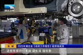 带您读懂政府工作报告 | 2025年湖北这样干！视频封面