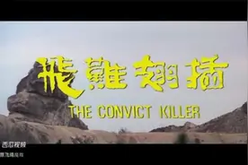 动作枪战片《插翅难飞》完整版