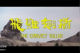 动作枪战片《插翅难飞》完整版