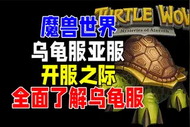 魔兽世界乌龟服亚服开服之际带你全面了解乌龟服