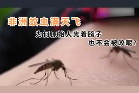 非洲蚊子漫天飞，为何当地人光着膀子却也没有蚊子咬呢？视频封面