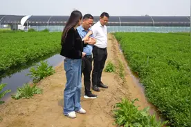 宿迁：“渔樵模式”开启新型生态循环种养 助推乡村产业振兴视频封面