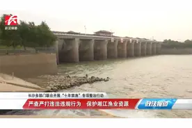 长沙多部门联合开展“十年禁渔”专项整治行动视频封面