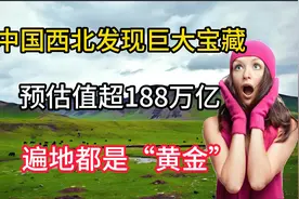 我国西北发现巨大宝藏，约估值超188万亿，遍地都是“黄金”视频封面