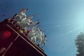 “为人不识陈近南，便称英雄也枉然！”#怀旧经典影视  #动作视频封面