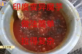 印度变异魔芋，印度人徒手操作，看完直呼三哥们厉害视频封面