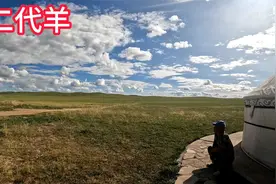 内蒙牧民近万亩草场养200多只羊，每天喂一次水，冬夏散养不进圈视频封面