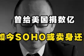 SOHO中国“暴雷”！欠税近20亿，赚100多亿却不缴税款？视频封面
