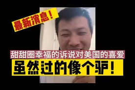 生产队的驴视频封面