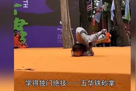 “最美女保镖”严月霞，靠真功夫入中南海，竟是一位少林俗家弟子视频封面