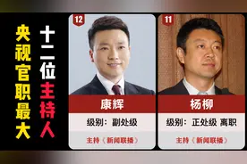 央视官职最大的12位主持人，白岩松、朱军上榜视频封面