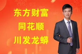 情绪龙头：东方财富，同花顺，川发龙蟒