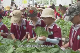 佛山：三水白坭富景“弄潮” 踏文旅路掀研学风