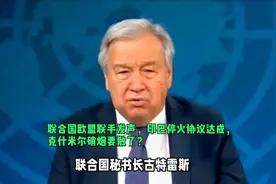 联合国欧盟联合发声‌，印巴停火协议达成，克什米尔硝烟要散了？视频封面