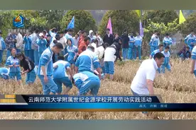 云南师范大学附属世纪金源学校开展劳动实践活动视频封面