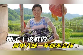 吃不完的茄子别再扔了，像培培这样做成茄子干，简单入味又下饭