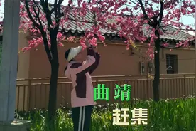 到曲靖翠峰农贸市场赶集，快来看看这里的物价怎么样视频封面