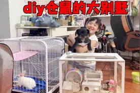 艾米给五岁仓鼠diy房子，耗时二个小时，成品真是美爆了视频封面