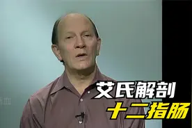 艾氏解剖｜十二指肠
