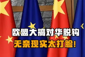 欧盟不愿被中国“卡脖子”，欲摆脱对华稀土依赖，无奈现实太打脸视频封面