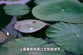 明天是小暑，记得忌嘴，多吃3瓜2菜，顺利进入伏天，安心过夏