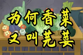 为何香菜又叫“芫荽”？其实很多农村人的叫法才是最正确的！视频封面