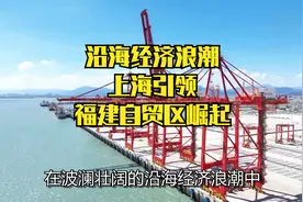 沿海经济浪潮，上海引领，福建自贸区崛起！视频封面