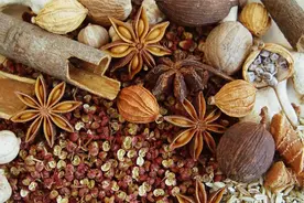 炖肉必备的10种香料，餐饮以及家用必备，干货满满记得收藏！视频封面