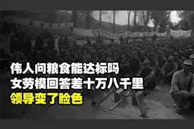 伟人问粮食能达标吗？女劳模回答差十万八千里，领导变了脸色视频封面