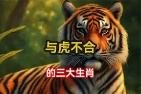 与虎天生不合的三大生肖，相处为何火花四溅？有啥化解的方法？视频封面