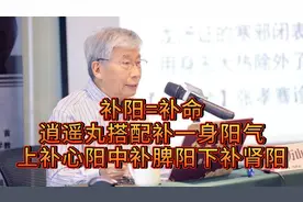补阳=补命，逍遥丸搭配，补一身阳气，上补心阳中补脾阳下补肾阳视频封面