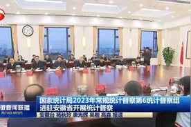 国家统计局2023年常规统计督察第6统计督察组进驻安徽开展督察视频封面