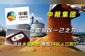 中粮集团是如何以一己之力，守住中国粮仓，喂饱14亿人口的？视频封面