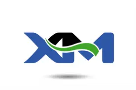 国内安全可靠的外汇交易平台有哪些？视频封面