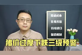 猪肉大跌引起国家注意，猪粮比价过度下跌三级预警，猪贱伤农视频封面