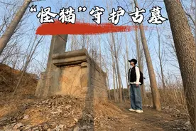 河南洛阳一农村竟发现“怪猫”守墓！背后藏着什么秘密？