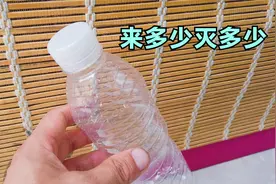 家里苍蝇多别急，5个塑料瓶就搞定，来多少灭多少，方法太棒了视频封面