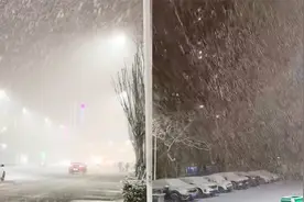暴雪黄色预警！直击河南2024年首场大雪，鹅毛般雪花纷纷扬扬视频封面