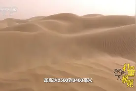 塔克拉玛干沙漠位于新疆南疆塔里木盆地中心，面积达33万平方千米视频封面