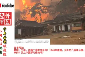 韩国爆发山火千年古刹被烧毁，国外网友怎么看的？视频封面