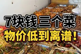 从上海搬到东北新一线城市生活是一种什么体验？【沈阳旅居】视频封面