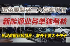 国资委喊话三大汽车央企，东风岚图回应：“放开手脚大干快干”视频封面