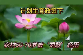 农村计划生育往事重现，曾受罚者速看，这段历史如何影响你的今天视频封面