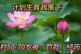 农村计划生育往事重现，曾受罚者速看，这段历史如何影响你的今天视频封面