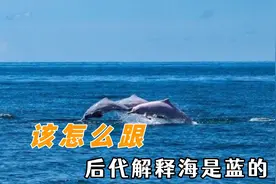 该怎么跟后代解释海是蓝的：海的那边是什么，万生万物做错了什么视频封面